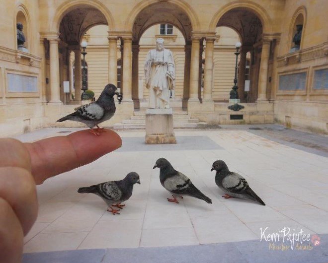 مجسمه های کوچک حیوانات کاری از هنرمند آمریکایی کری پایوتی 